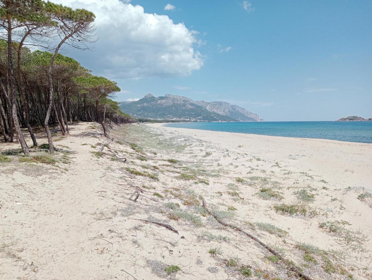 Locanda D'Ogliastra, Triei Bagian luar foto