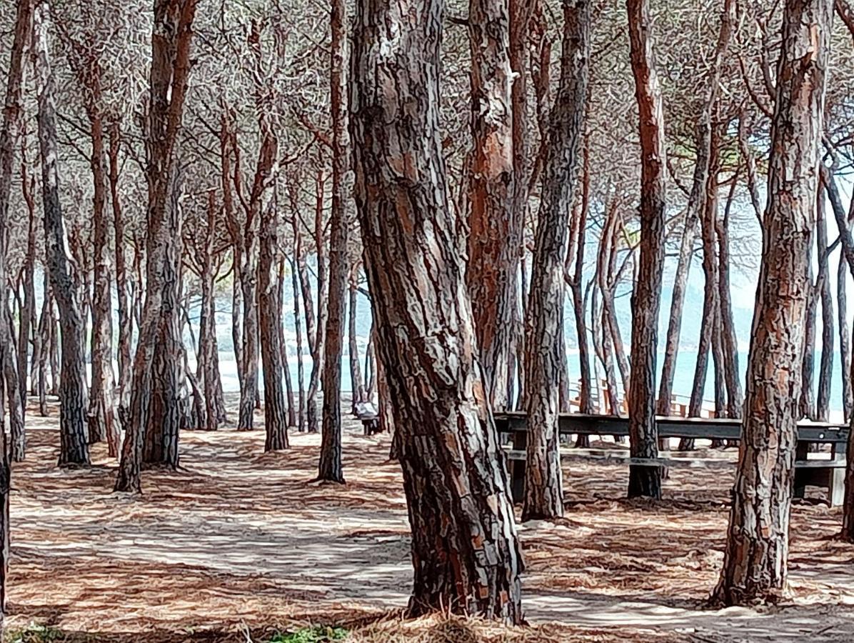 Locanda D'Ogliastra, Triei Bagian luar foto