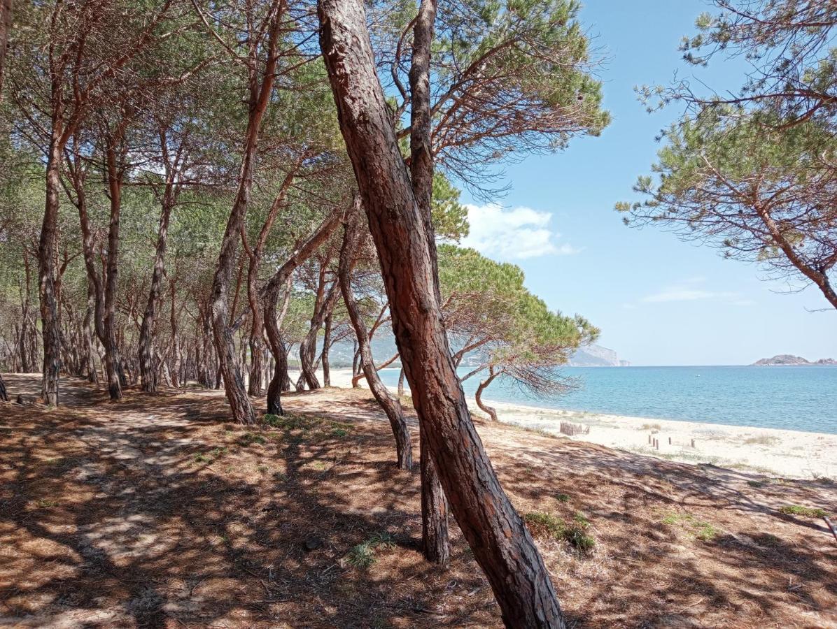 Locanda D'Ogliastra, Triei Bagian luar foto