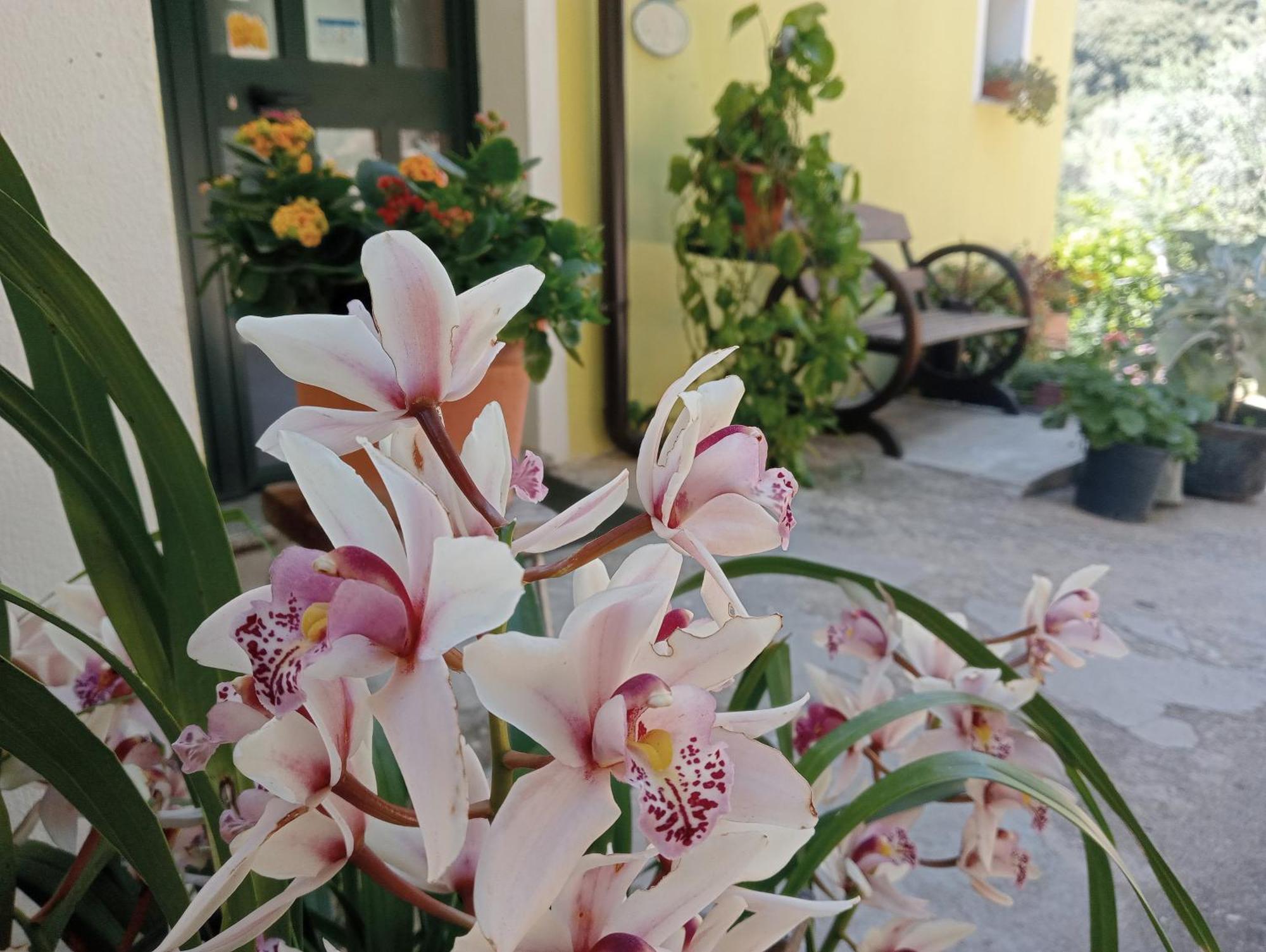 Locanda D'Ogliastra, Triei Bagian luar foto